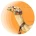 CamelTokenLOGO