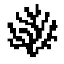Coral ProtocolLOGO