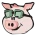 Pig FinanceLOGO